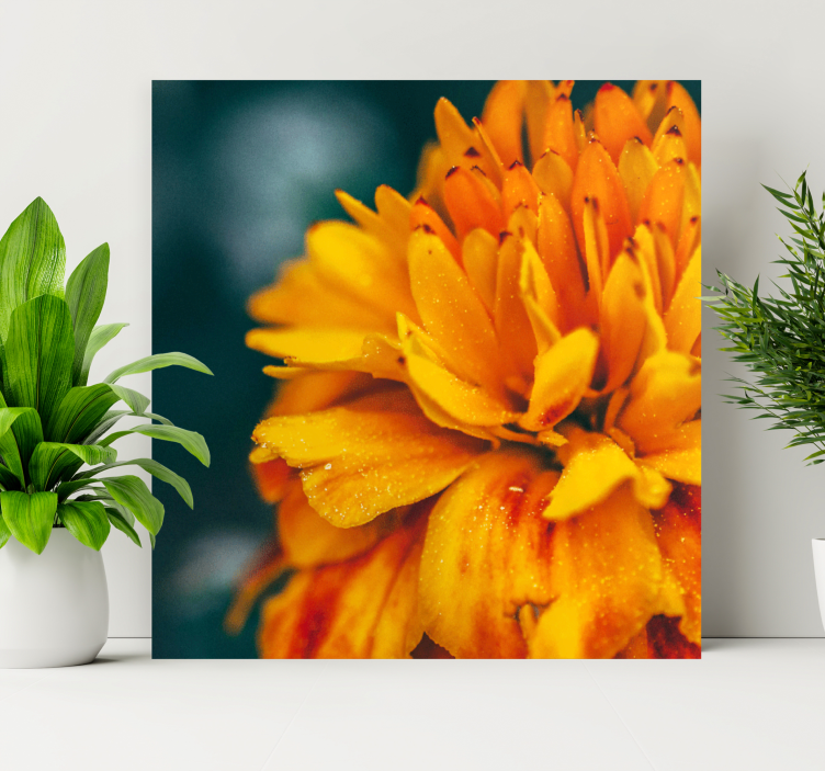 Flower canvas vibrant orange blossom print - TenStickers