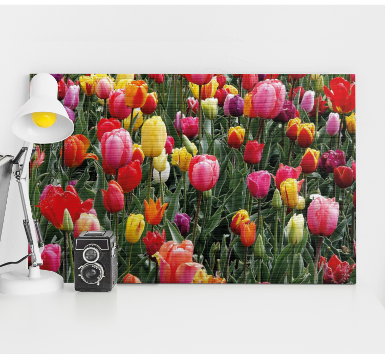 Flowers canvas colorful tulip blooms - TenStickers