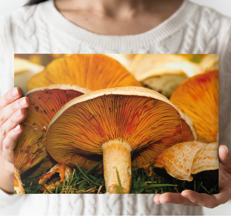 Flowers canvas with mushroom patterns - TenStickers