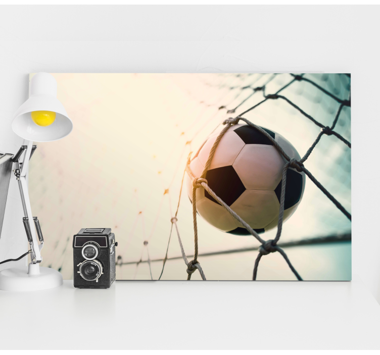 Football in net fish canvas - TenStickers