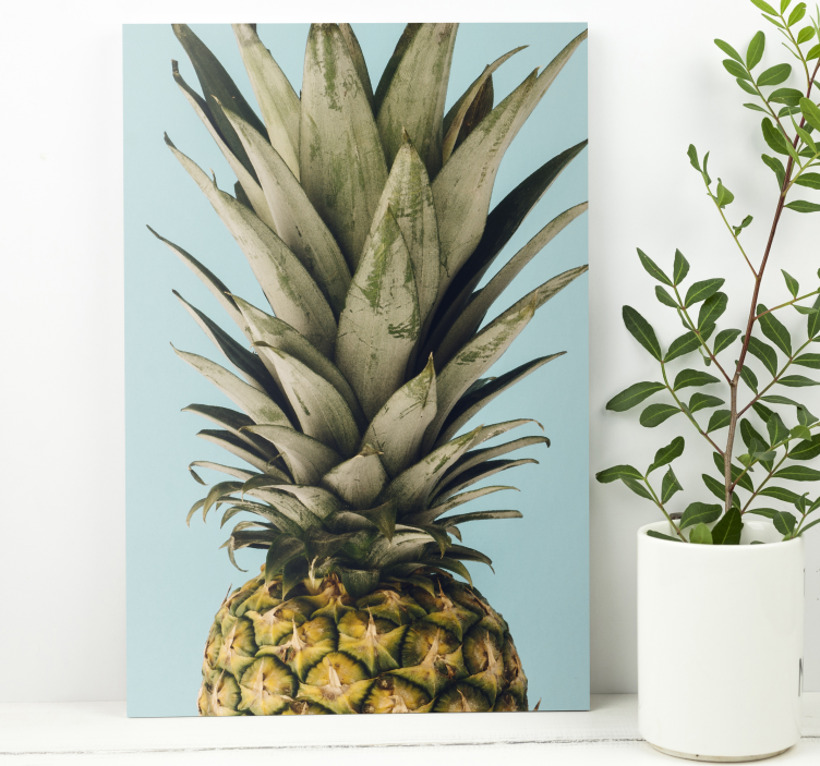 Pineapple Plant canvas print - TenStickers