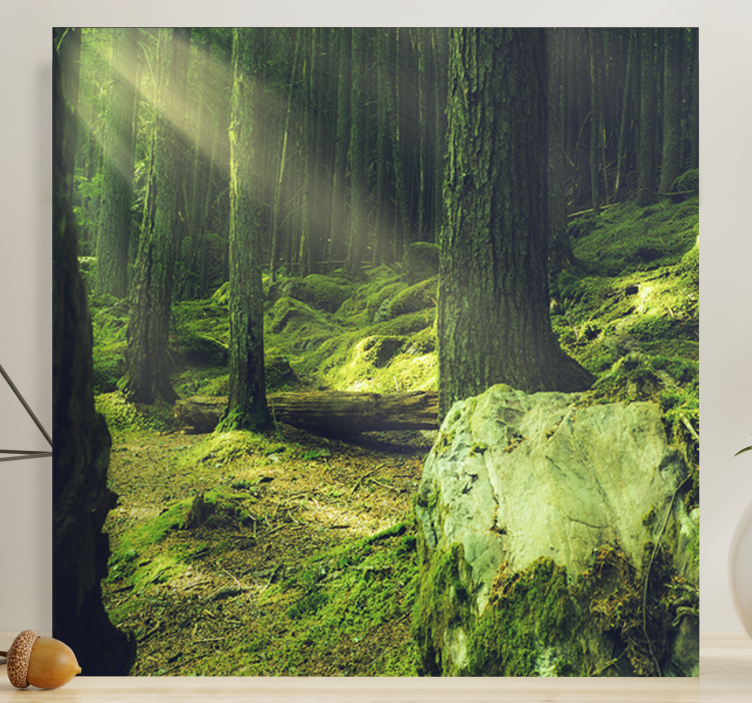 Tree canvas wall art sunlit forest path - TenStickers