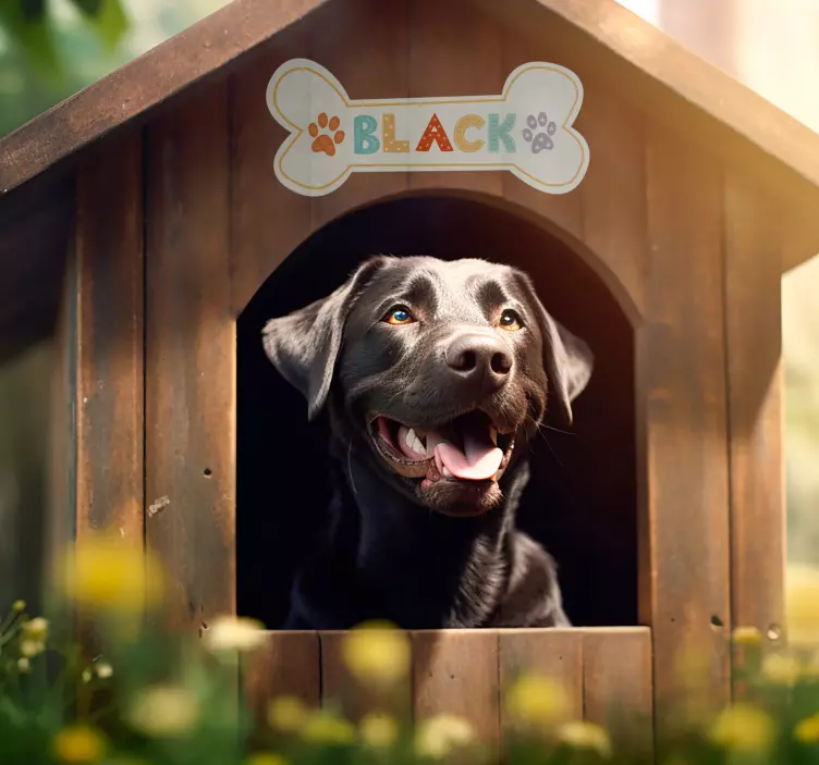 dog house name pet wall art - TenStickers