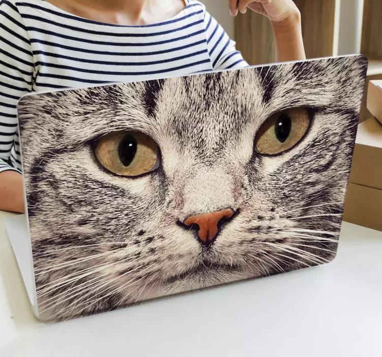 Cat face laptop  laptop sticker - TenStickers