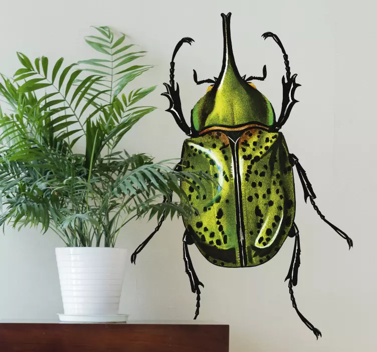 Tropical Beetle animal wall sticker - TenStickers