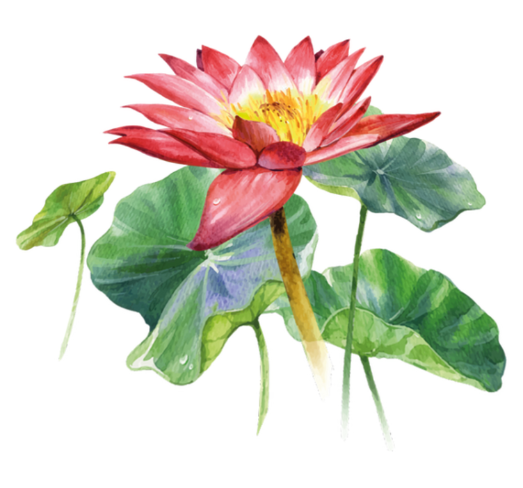 Bedroom vinyl rug lotus watercolor dream - TenStickers