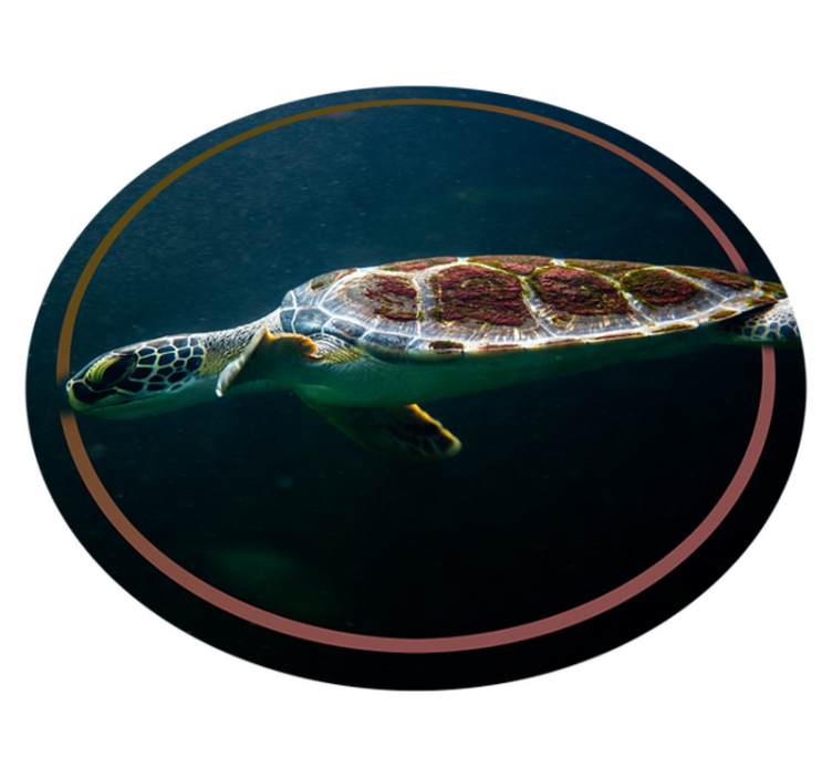 Sea Turtle Circle animal vinyl rug - TenStickers