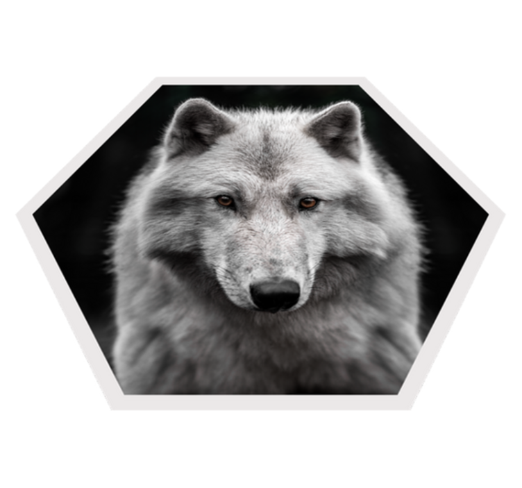 Wolf Portrait animal vinyl rug - TenStickers
