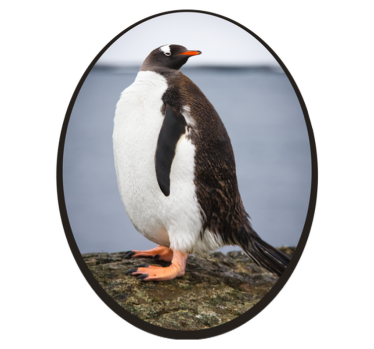 Penguin Stance animal vinyl rug - TenStickers