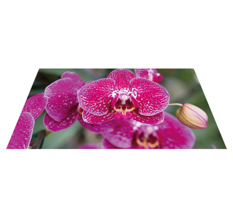 Vibrant Orchid Blooms floral vinyl rug - TenStickers