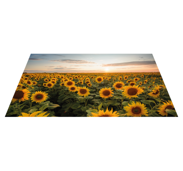 Sun flower sun rise floral rug - TenStickers