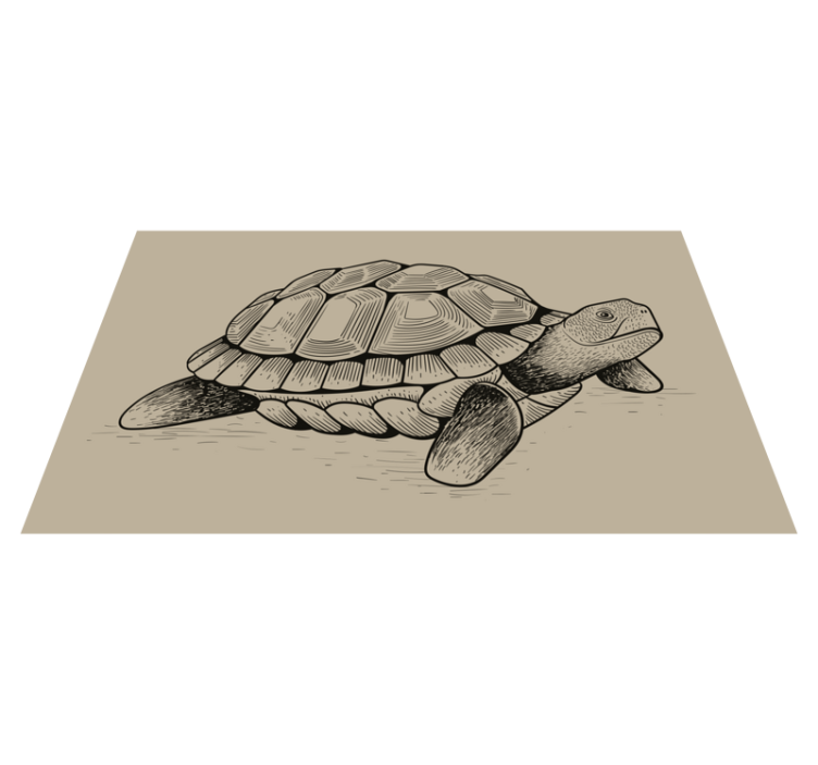 Tortoise Illustration animal mat - TenStickers