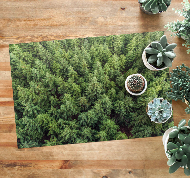 Aerial Forest View nature vinyl rug - TenStickers