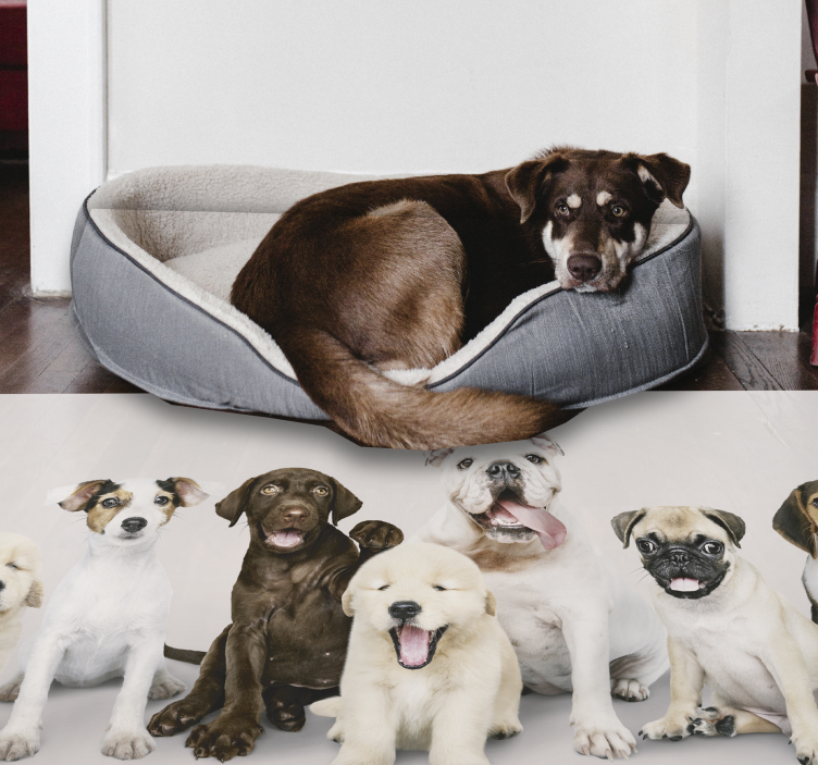photography dog puppies animal mat - TenStickers