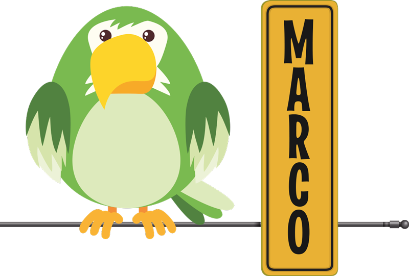 Animal vinyl rug wild parrot with name - TenStickers