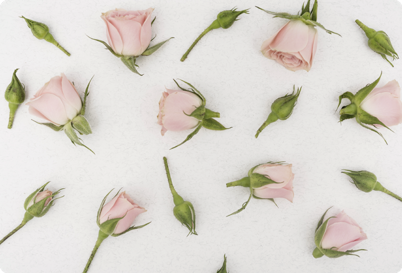 Romantic spring flower floral vinyl rug - TenStickers