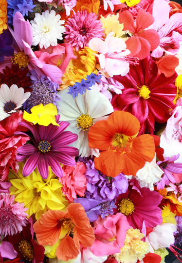 Floral vinyl rug with a bounty of colorful blooms - TenStickers