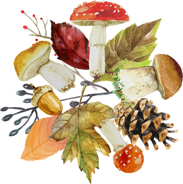 Floral vinyl rug with autumn touches - TenStickers
