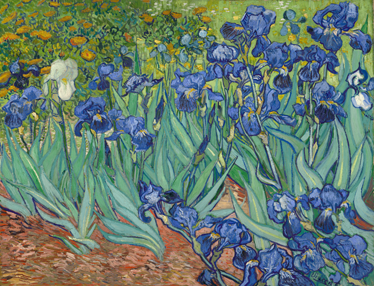 Floral vinyl rug inspired by van gogh flowers - TenStickers