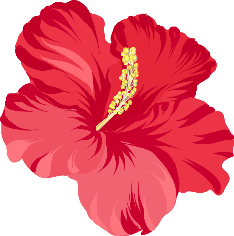 Floral vinyl rug with red hibiscus flowers - TenStickers