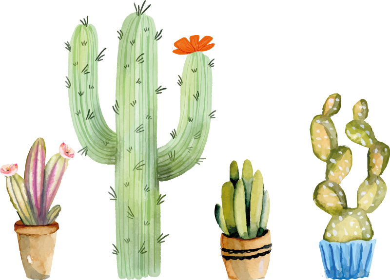 Dining room vinyl rug set with assorted cacti - TenStickers