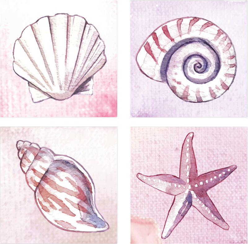 Bathroom vinyl rug with sea life design - TenStickers