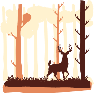 Nature vinyl rug in brown forest with deer - TenStickers