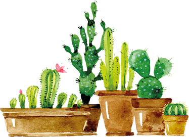 Floral vinyl rug with homemade cactus garden design - TenStickers