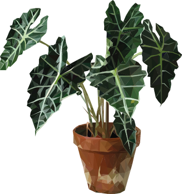 Floral vinyl rug with geometric plant pot design - TenStickers