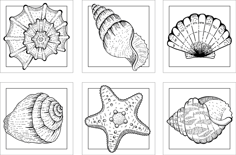 Bathroom vinyl rug with marine life and seashells - TenStickers