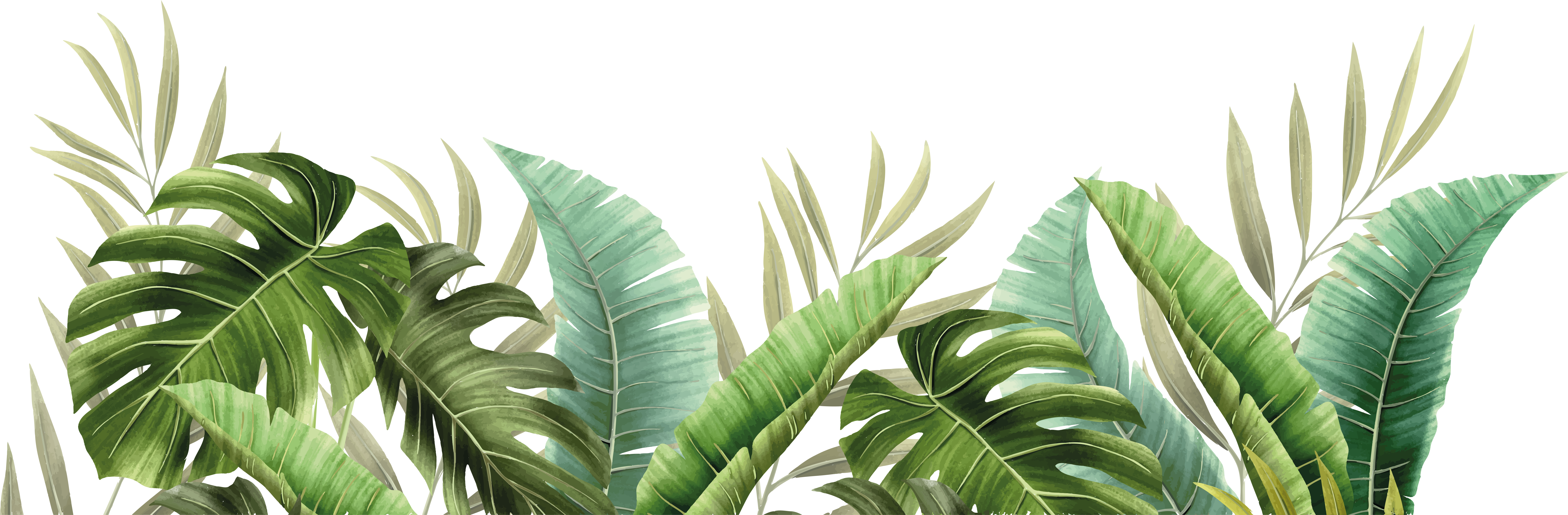 Bathroom vinyl rug with tropical foliage - TenStickers