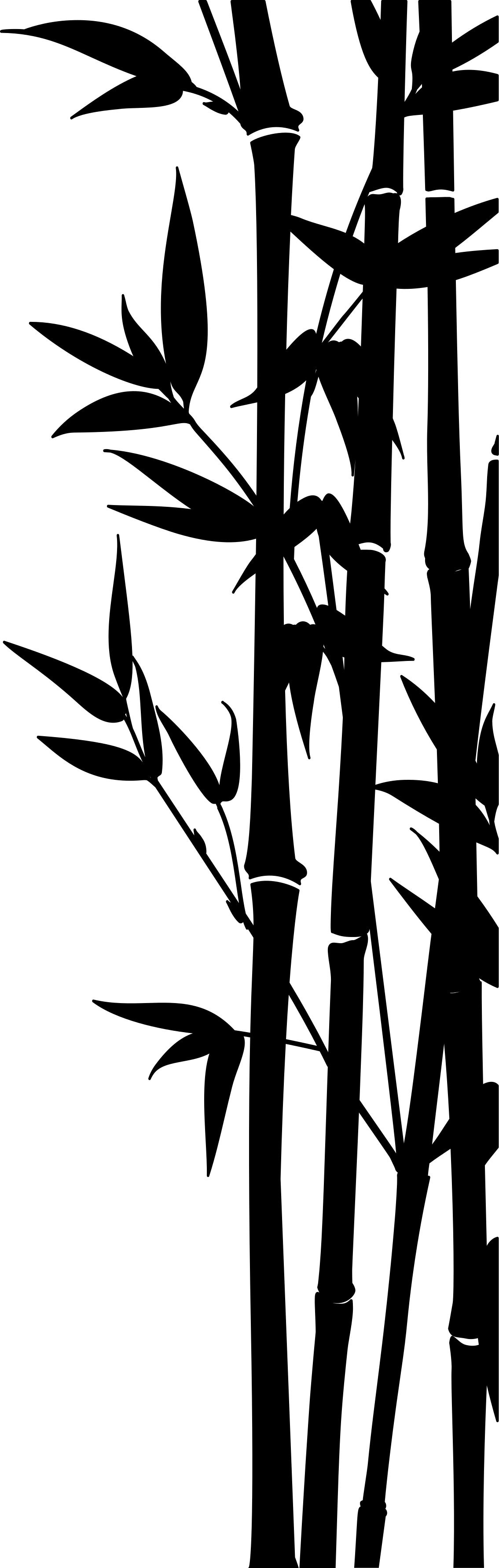 Bathroom vinyl rug with bamboo shower screen design - TenStickers