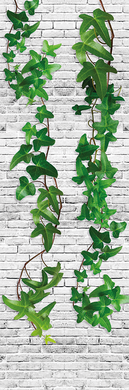 Nature vinyl rug ivy wall - TenStickers