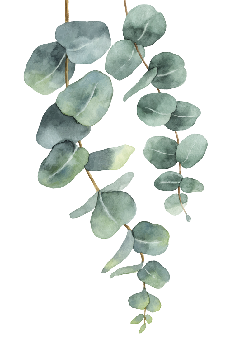 Floral vinyl rug eucalyptus twigs - TenStickers
