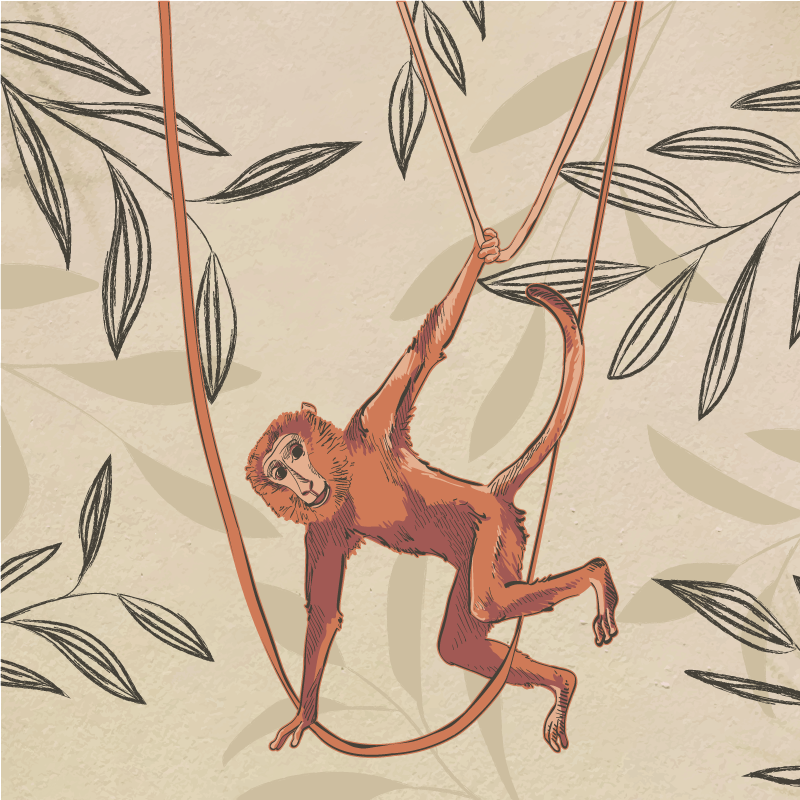 Kids vinyl rug baby monkey swinging on a plant - TenStickers