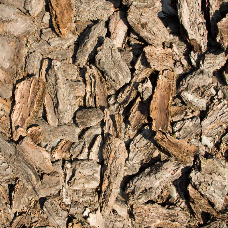 Entrance hall vinyl rug in brown rustic tree bark - TenStickers