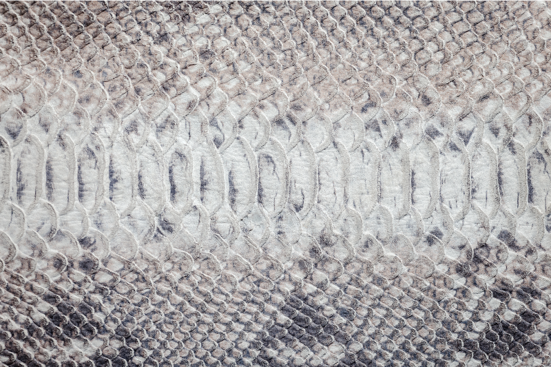 Grey vinyl rug with grey snake print pattern - TenStickers