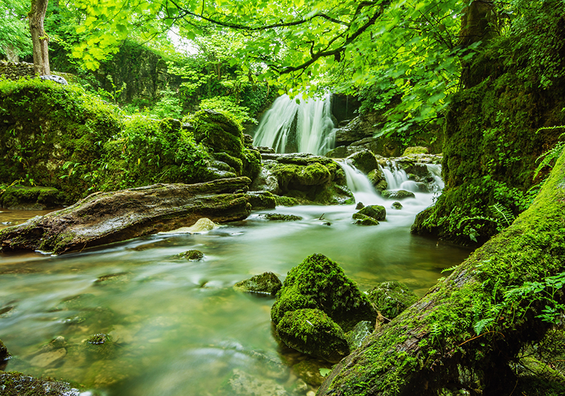 Green vinyl rug serene waterfall - TenStickers