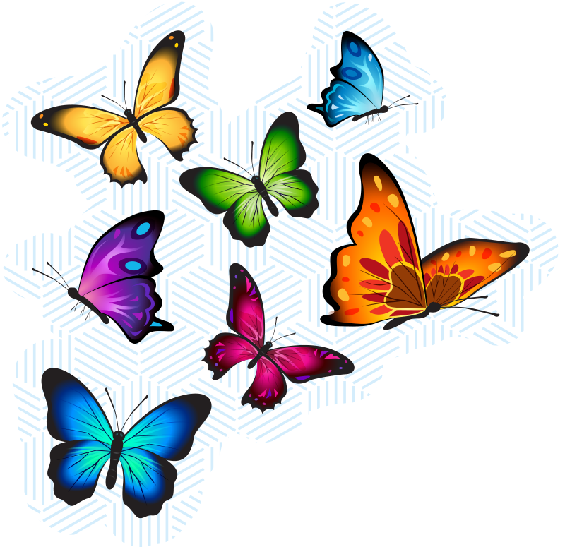 colorful butterfly collection animal mat - TenStickers