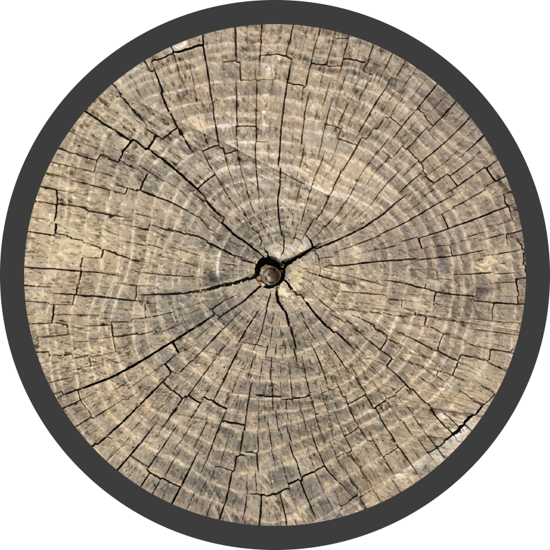 Log Cross-Section wood effect vinyl rug - TenStickers