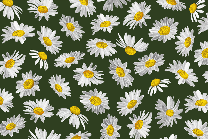 Field of daisies floral rug - TenStickers