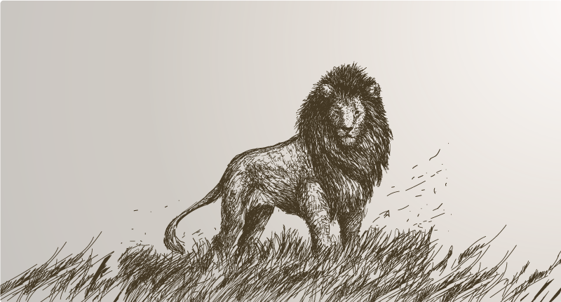 Realistic Lion animal rug - TenStickers