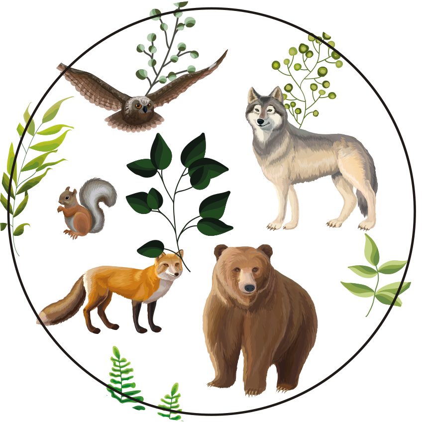Friendly forest creatures kids vinyl rug - TenStickers