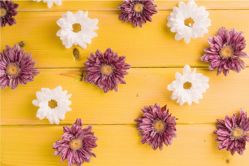 Pink and white petals floral vinyl rug - TenStickers