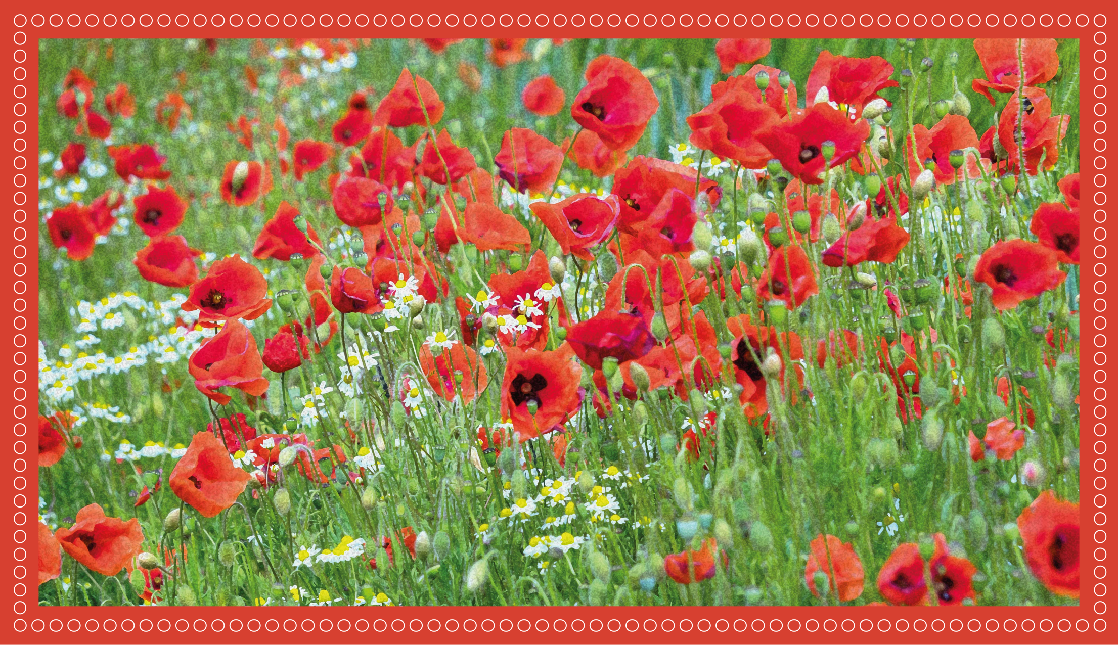Realistic poppy field floral vinyl rug - TenStickers