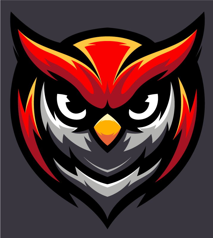 Owl Graphic Bold teen vinyl rug - TenStickers