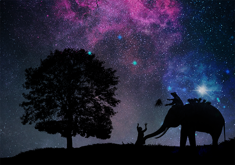 Cosmic elephant adventure animal vinyl rug - TenStickers