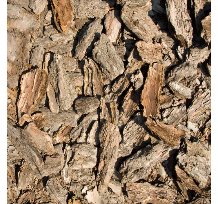 Ornamental wallpaper brown rustic tree bark - TenStickers