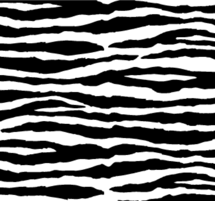 Animals wallpaper zebra stripes design - TenStickers