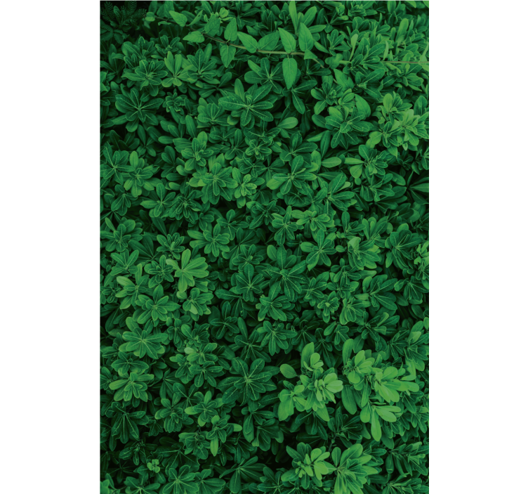 Nature wallpaper in deep green hues - TenStickers